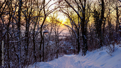 Winter sunset in snow
