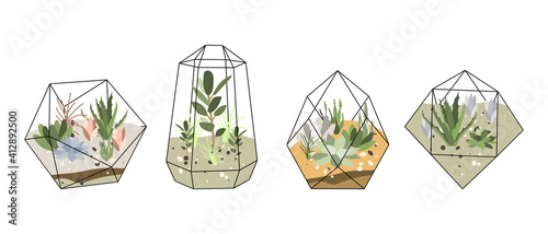 Florarium, glass vase. Succulent plants and cactuses in geometric glass pot. Garden in bottle, diy geometric terrarium, mini ecosystem. Vector flat cartoon illustration