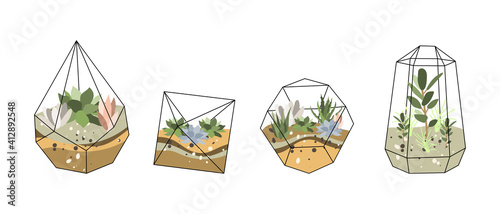 Florarium, glass vase. Succulent plants and cactuses in geometric glass pot. Garden in bottle, diy geometric terrarium, mini ecosystem. Vector flat cartoon illustration