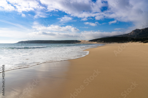 Fototapeta Naklejka Na Ścianę i Meble -  peaceful empty golden sand beach with waves rolling in and pine forest and a large sand dune in the background