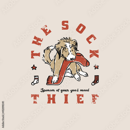 Corgi dog stole sock. The sock thief slogan. Typography graphic print, fashion drawing for t shirt 