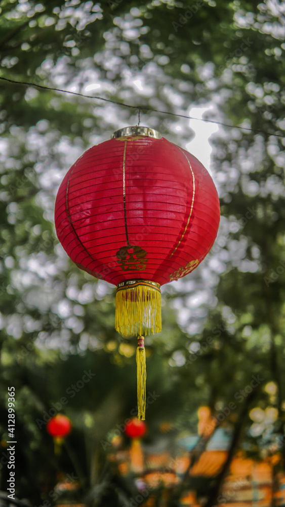 Obraz premium Chinese New Year lantern