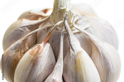 macro photo of garlic on a white isolated background © Krzysztof Bubel
