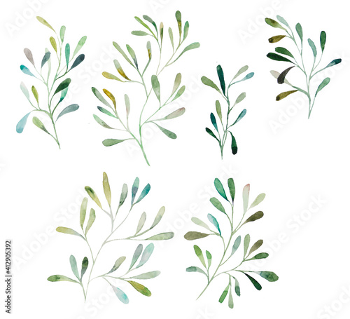 Watercolor botanical leaves illustration