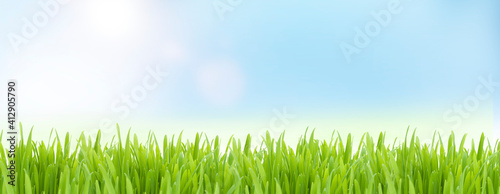 Grünes Gras vor Blauem himmel