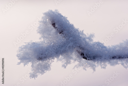 Hoarfrost on a branch in the winter