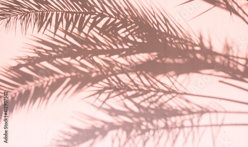 Photography Shadow of the palm trees on the wall captured in Dubai, UAE