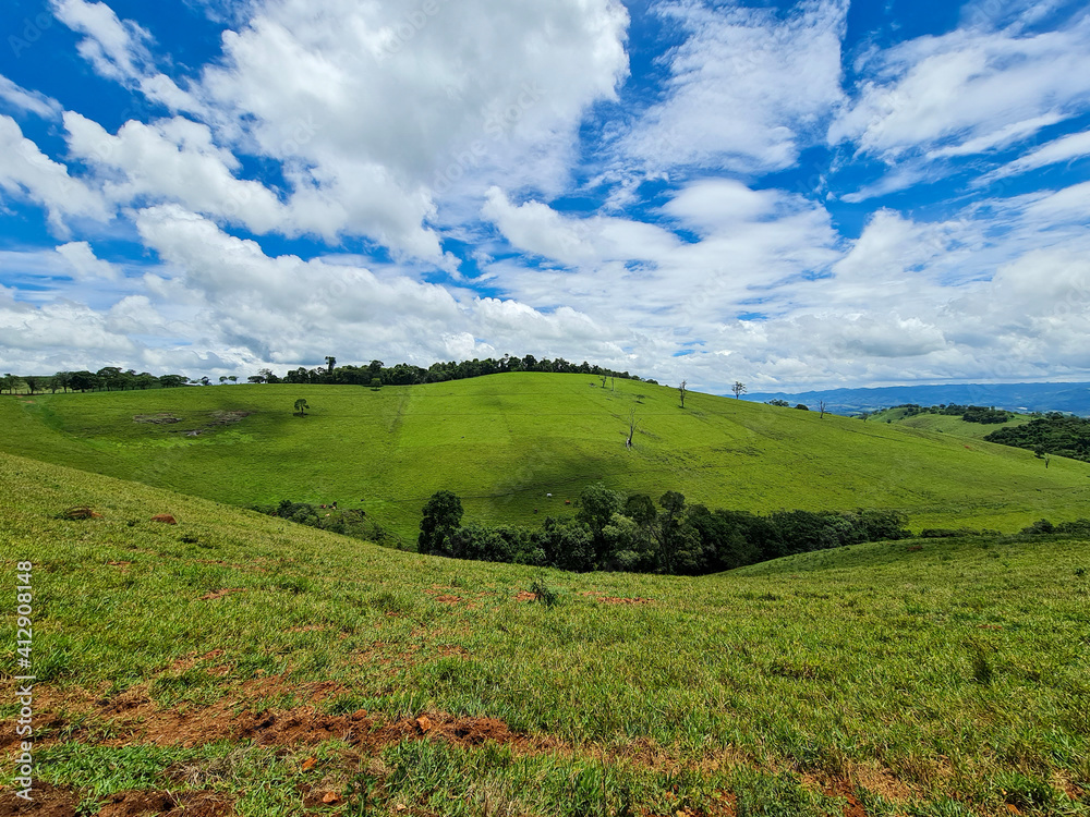 Obraz premium field and sky