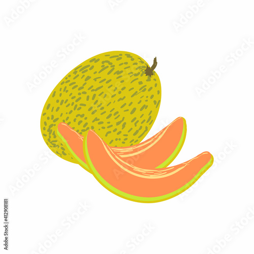 Exotic tropical melon fruit. Summer fruits, whole fruits and halves. Vector illustration cartoon flat icon isolated on white background.