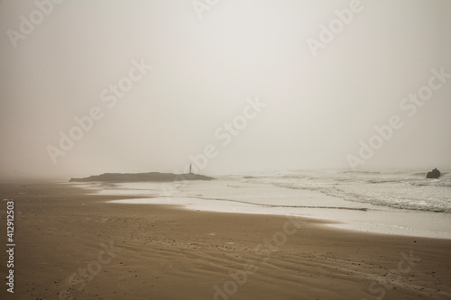 beach in the morning fog