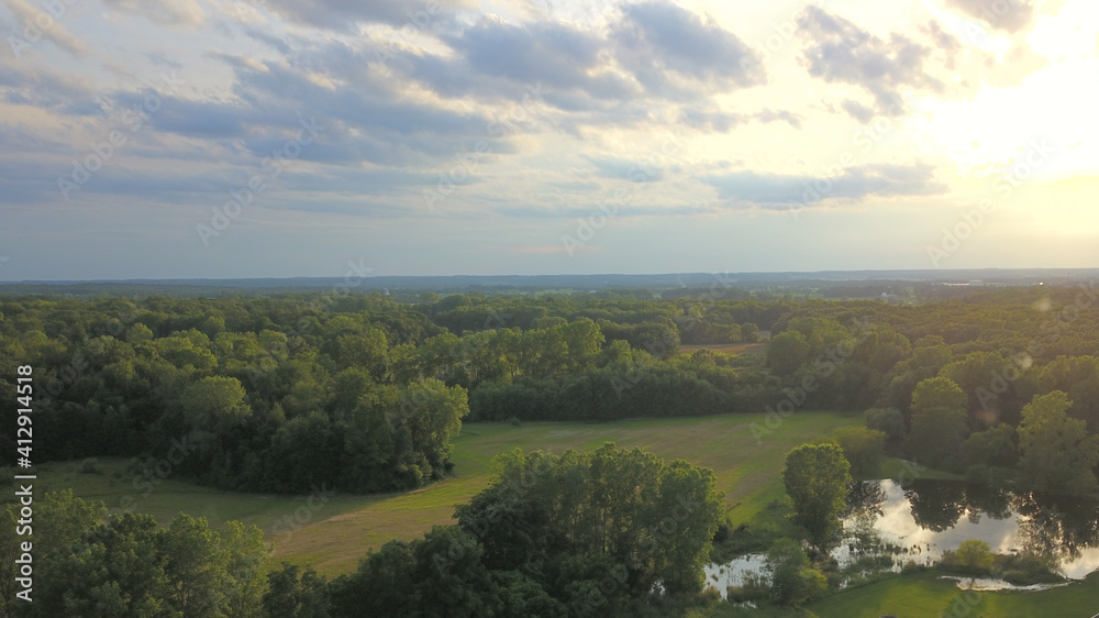 sunset in the woods