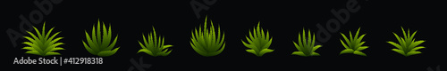 set of maguey plants cartoon icon design template with various models. vector illustration isolated on black background