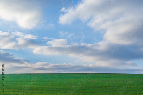 scenic landscape with green field and sblue sky with soft clouds as background