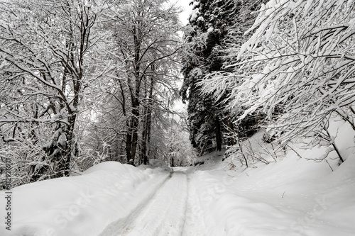 Road in the snowy winter forest. Winter landscape.