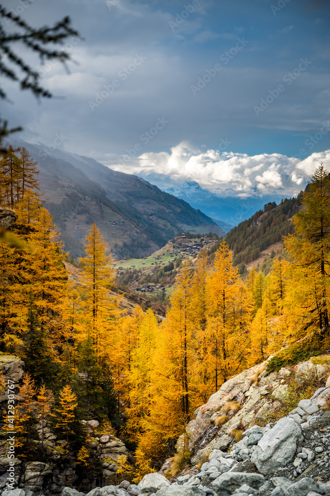 autumn forest with yellow larches in Val d'Herens, Valais