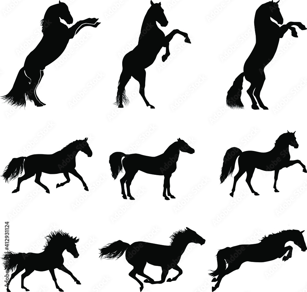 Horse silhouette, running horse silhouette