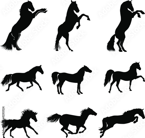 Horse silhouette  running horse silhouette