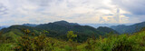 Panorama photo of Sunset or evening time over clouds with mountain hill forest 