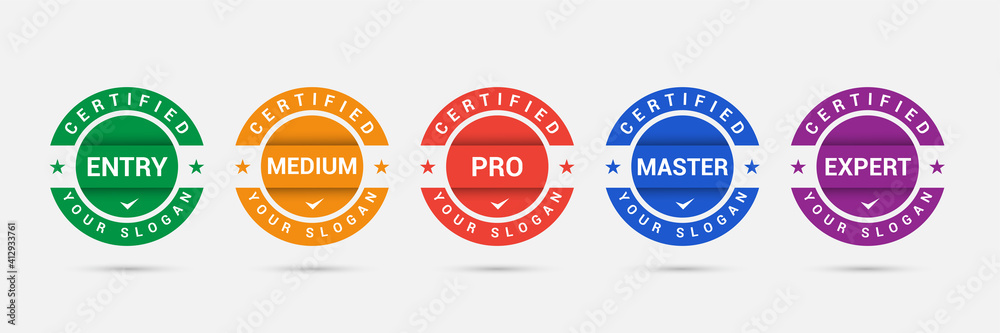 Logo badge for standard certified training criteria company. Vector illustration certify logo design. Certification icon business template. - obrazy, fototapety, plakaty 