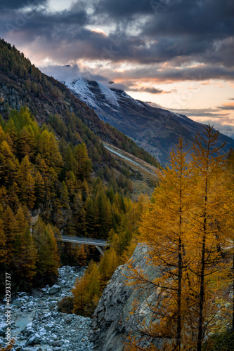 autumn forest near Ferpecle at sunset, Valais photo