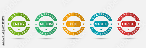 Logo badge for standard certified training criteria company. Business certification label design vector template.