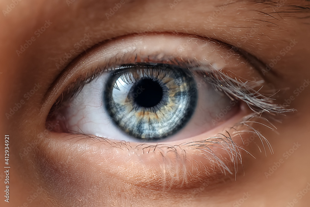 Fototapeta premium Blue Macro eye close-up