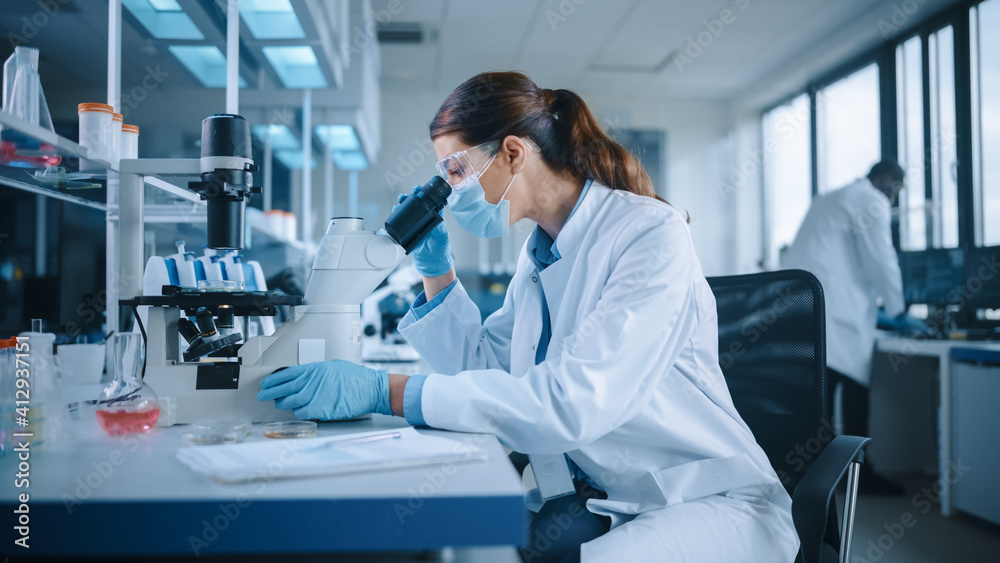 Female Scientist in Face Mask and Glasses Looking a Petri Dish with Genetically Modified Sample Chemicals Under a Microscope. Microbiologist Working in Modern Laboratory with Technological Equipment. Female Scientist in Face Mask and Glasses Looking a Petri Dish with Genetically Modified Sample Chemicals Under a Microscope. Microbiologist Working in Modern Laboratory with Technological Equipment.