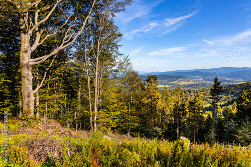 Fototapeta Naklejka Na Ścianę i Meble -  Panoramic view of eastern Beskidy mountains from Gron Jana Pawla II - John Paul II peak in Little Beskids mountains near Andrychow in Lesser Poland