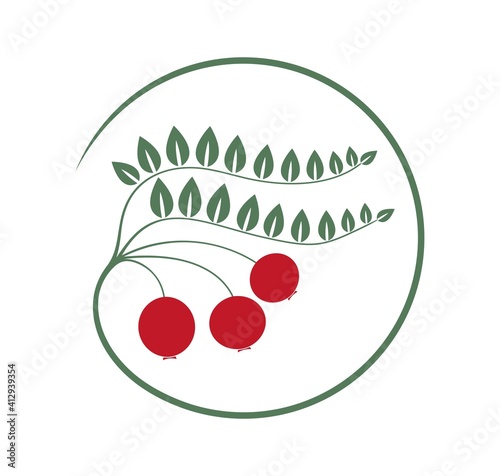Cranberry logo. Isolated cranberry on white background