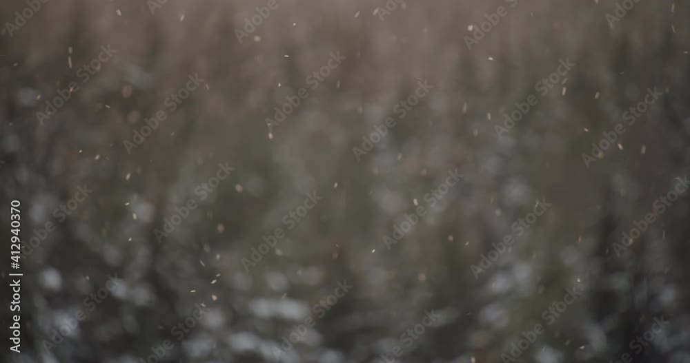 Falling snow in direct natural light in winter. Snowflakes sparkling. Snowy defocused woodland on background Falling snow in direct natural light in winter. Snowflakes sparkling. Snowy defocused woodland on background