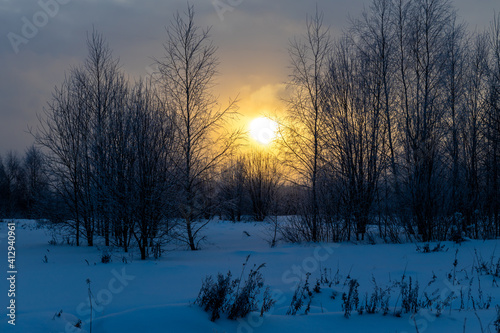 sunset behind the trees in winter