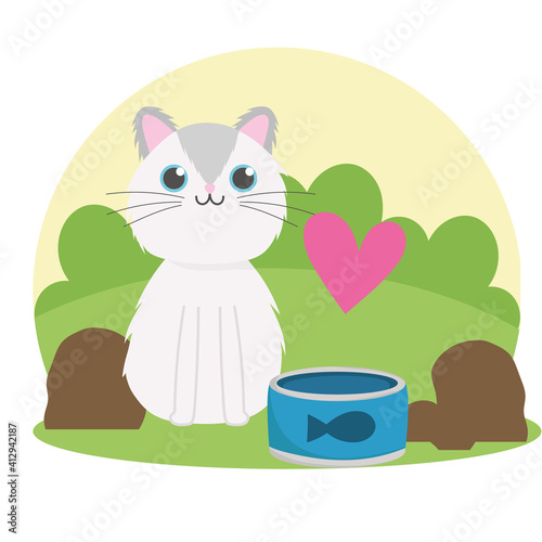 cute white cat with canned fish food in the grass
