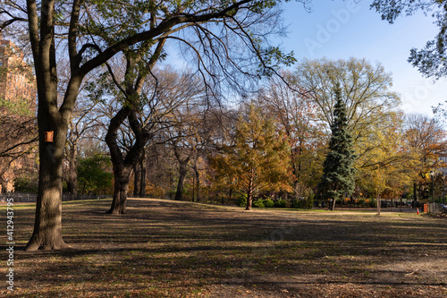 Tompkins Square Park in the East Village of New York City during Autumn with Grass and Colorful Trees