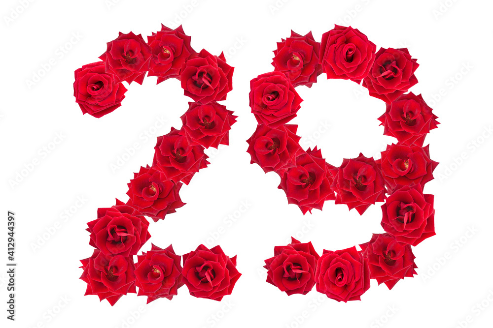 Numeral 29 made of red roses on a white isolated background. Element for decoration. Twenty nine. Red roses.