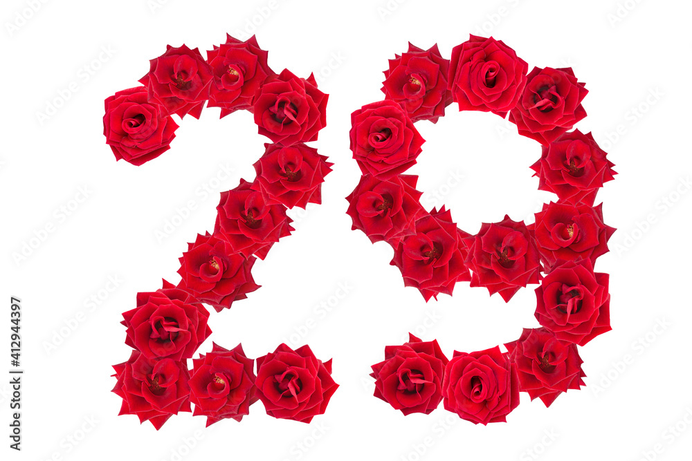 Numeral 29 made of red roses on a white isolated background. Element for decoration. Twenty nine. Red roses. Numeral 29 made of red roses on a white isolated background. Element for decoration. Twenty nine. Red roses.