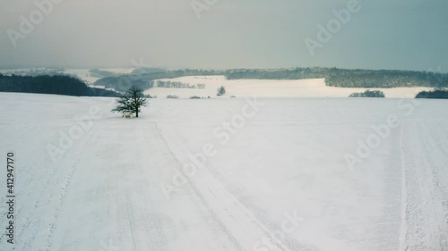 Drone flying over bavarian snowbound winter landscape with solitary tree and small chapel near Regensburg during snowfall photo