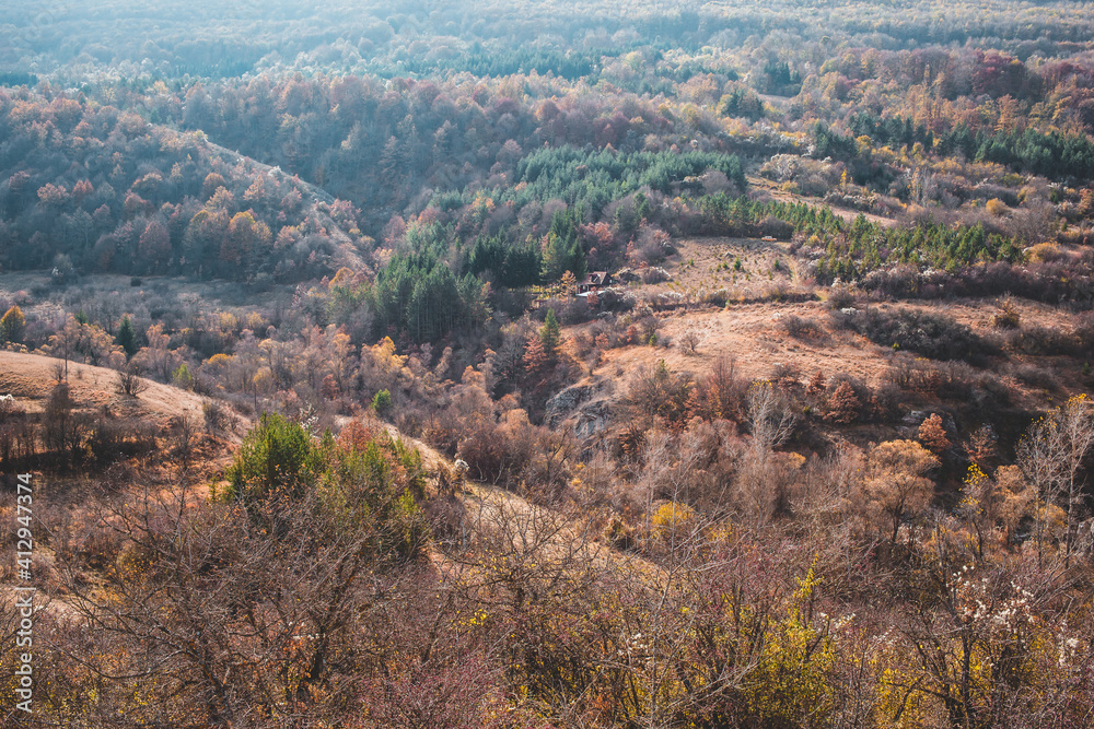 Panoramic view of part of the hill with forest Panoramic view of part of the hill with forest
