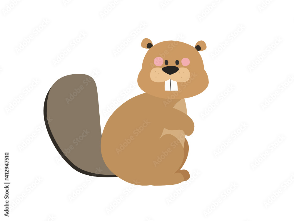 Fototapeta premium beaver