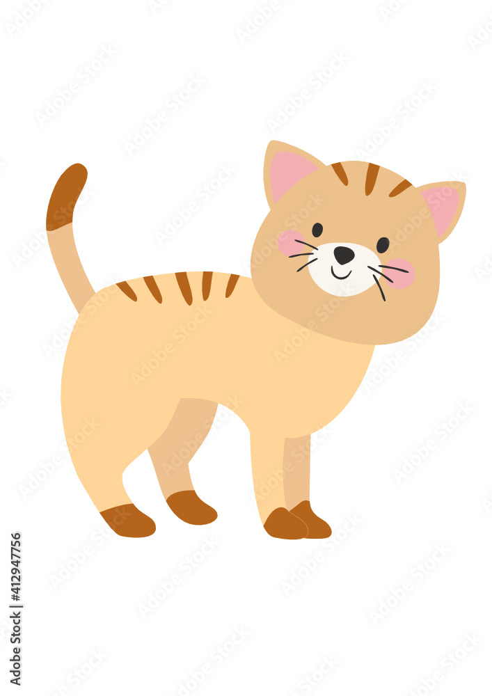 Fototapeta premium cat