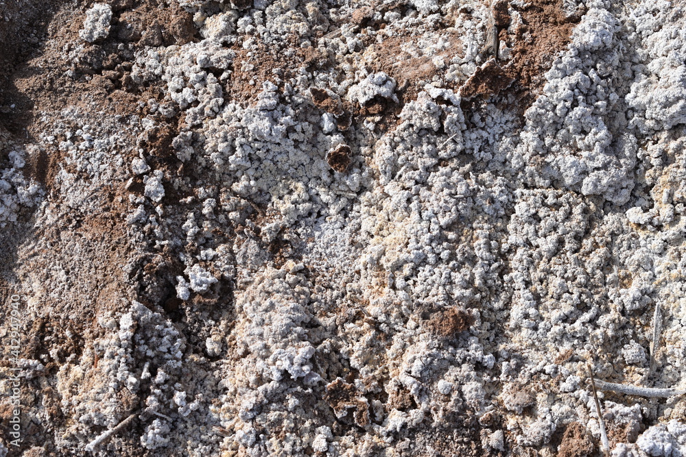 Close up shot of the texture of dirt and gravel on the ground Close up shot of the texture of dirt and gravel on the ground