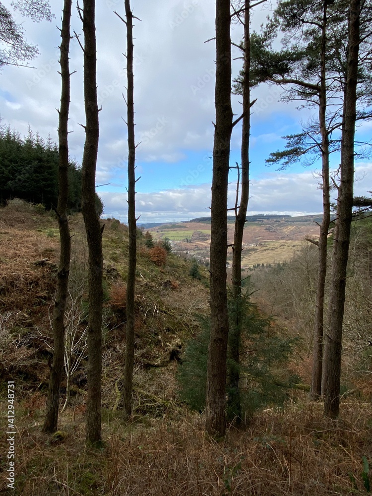 Looking toward Bryn South Wales