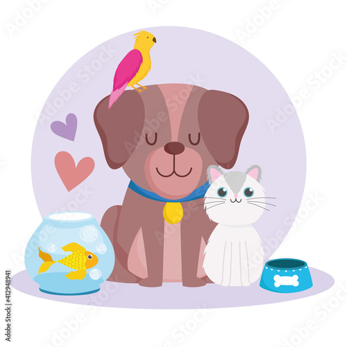 pets cute dog cat parrot fish animals and food
