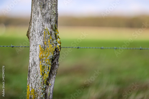 Close-up of a wooden fence post with green moss and barbed wire, farmland in the blurred background, winter day in Schinveld, South Limburg, the Netherlands photo