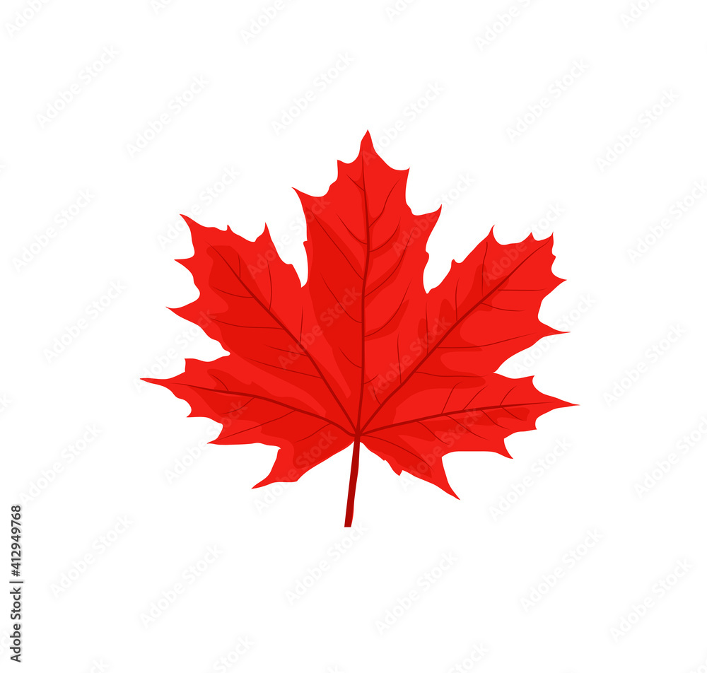 Maple leaves vector illustration. Autumn leaf leaves. Fall leaves maple
Maple leaves vector illustration. Autumn leaf leaves. Fall leaves maple