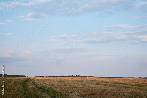 Countryside farming development. Natural green and yellow field landscape in summer with blue sky. Agricultural rural background. Ecological food production.
