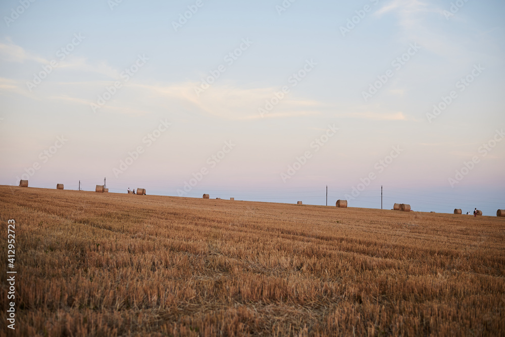 Natural yellow field landscape in summer with blue sky. Stubble field with straw bales on it, during harvest season in countryside. Agricultural rural background. Ecological food production.