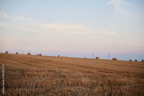 Natural yellow field landscape in summer with blue sky. Stubble field with straw bales on it  during harvest season in countryside. Agricultural rural background. Ecological food production.