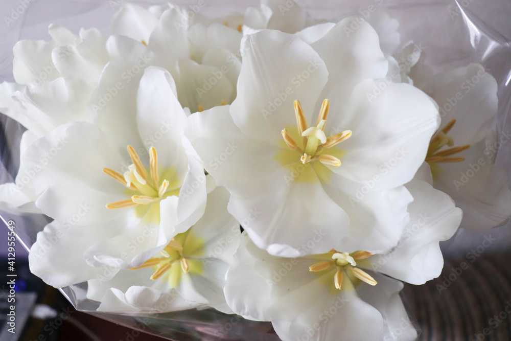 Obraz premium spring bouquet of tulips. beautiful bouquet of tulips and space for text 