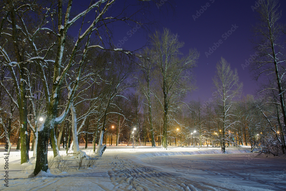 The city park is illuminated with electricity at night.