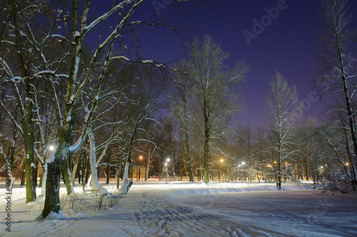 Obraz na płótnie The city park is illuminated with electricity at night. w salonie